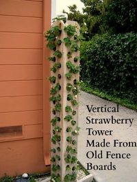 strawberry tower