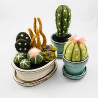 So cute and totally impervious to my black thumb! Felted Cactus Garden by OnceAgainSam on Etsy