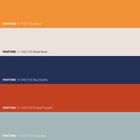 Summar Color Palette Combination with Contrasted Colors · Bask in the warm embrace of Apricot Eye - a summer symphony of hues captivates the senses, dance of cool and warm shades. · Inspirational Color Swatch · #Color #ColorPalette #Cream #FHICottonTCX #Navy #Orange #Pantone #PANTONE11-1005TCXBridalBlush #PANTONE14-4306TCXCloudBlue #PANTONE15-1153TCXApricot #PANTONE17-1449TCXPureedPumpkin #P...