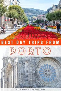 Looking for day trips from Porto? Let us introduce you to the 5 best day trips from Porto, Portugal! Includes historic sights, food, sandy beaches, shopping, and more. The guide comes with practical information and a map. #porto #portugal #travel