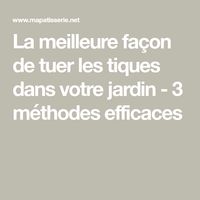 La meilleure façon de tuer les tiques dans votre jardin - 3 méthodes efficaces