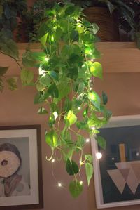 PRICES MAY VARY. {Package Includes} 2 bunches of beautiful green artificial real touch and look hanging plants. Led lights can be added, it will come separate and you can place at your liking. 6 AA batteries will be needed. {Dimensions} The total length of the artificially hanging plants is about 3.5 feet. Around 150 fake green leaves per bunch, a total of 300 leaves. LED lights are 3 meters long. {Unique Material} The leaves are made of high quality fabric, the surface is coated with a transluc