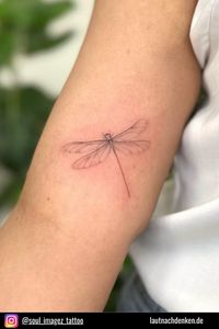 Zierliche Libellen-Tattoos sind genau das Richtige! Egal, ob Sie Ihr Tattoo auf dem Oberarm, dem Unterarm oder einer anderen Körperstelle platzieren, Sie werden garantiert die Art und Weise verändern, wie die Menschen diese neugierigen Geschöpfe sehen.