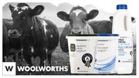 Woolworth Ayrshire Milk