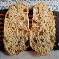 Sourdough Ciabatta – Breadtopia