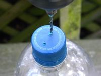 Watering Tomatoes Using a 2-liter Soda Bottle | Veggie Gardener Forum