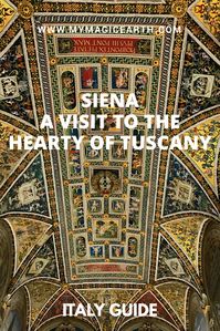 Siena is located in the heart of Tuscany. Having seen the wonderful Lucca I could not wait to see this city. Its unique medieval brick buildings make the city distinguished among other Tuscany cities. #visittuscany #italy #italia #tuscany #tuscana #europe #adventure #adventuretime #travel #town #tourist #trips #holidays #siena