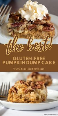 This homemade gluten-free pumpkin dump cake makes a delicious dessert recipe for fall holidays like Thanksgiving. Full of pumpkin, gluten-free vanilla cake, and pumpkin spice flavors, top with whipped cream, ice cream, or icing! Making a dump cake from scratch is a huge time saver! www.fearlessdining.com