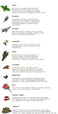 Common herbs & flowers and their purposes.