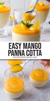 Want to make delicious Mango Panna Cotta? This flavorful twist on a classic dessert is just as creamy - and with a sweet mango puree on top!