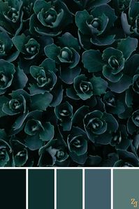 ZJ Colour Palette 828 #colourpalettes #colourinspiration