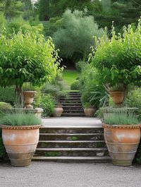 75+ Garden Path Ideas You Have To Check Out