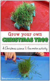 Grow your own Christmas tree sponge