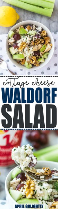 Heart Healthy Recipe - this Waldorf salad is made with cottage cheese, celery, grapes, raisins, apples, and more heart healthy foods