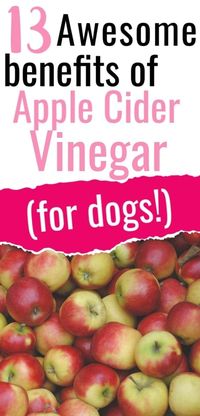 13 Awesome benefits of Apple Cider Vinegar for Dogs. #apple cider vinegar, #dogs