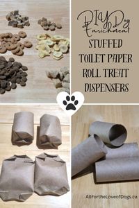 🐾 Keep your pup entertained and engaged with our DIY Dog Enrichment blog post! Learn how to make Stuffed Toilet Paper Roll Treat Dispensers for hours of canine fun. 🐶💡 Click to read more! #DIYDogToys #DogEnrichment #StuffedToiletPaperRolls #DogTreatDispensers 🎾🐕