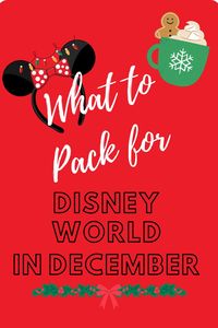 I LOVE these tips as I've always gone to DIsney in the summer so I always think of it as so hot. And the fun holiday clothes and accessories are so cute!