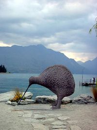 Kiwi Statue, Queenstown, NZ