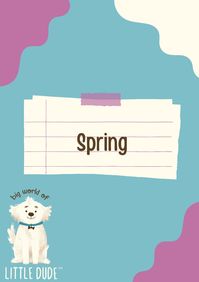 Spring Board Cover