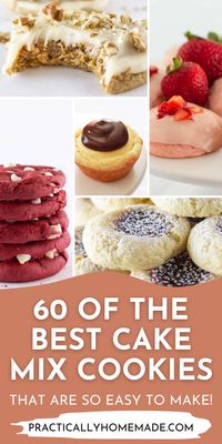 If you like easy and sweet recipes, here are 60 of the Best Cake Mix Cookies around! Each one of these recipes is so easy to make, and there is such a huge variety that you're bound to find several recipes to fit your tastes. Check out the list today!