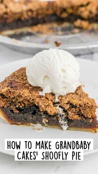 45min · 10 servings     For the Crust  ▢9 inch deep dish unbaked pie shell or 1 homemade single pie crust  For the Filling  ▢½ cup dark brown sugar  ▢2 teaspoons all purpose flour  ▢½ teaspoon baking soda  ▢½ cup robust molasses  ▢1 large egg room temperature  ▢1 teaspoon pure vanilla extract  ▢1 cup boiling water  For the Crumble Topping  ▢1 cup all purpose flour  ▢½ cup dark brown sugar  ▢1 teaspoon cinnamon  ▢½ teaspoon baking powder  ▢½ teaspoon nutmeg  ▢¼ cup salted butter very cold