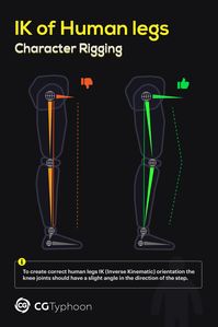 📌 IK of human legs - A character rigging. #3d #lesson #modeling #3dtips #tips #tipsandtricks #topology #shape #faces #vertices #edges #cgtyphoon #cg #cgi #geometry #retopology #maya #blender #3dsmax #3dcoat #zbrush #modo #human #walking #IK #InverseKinematic #rigging