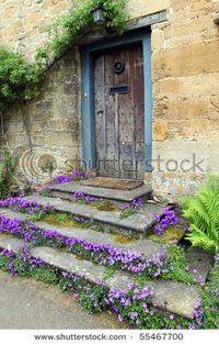 How beautiful to have flowers growing out from under the steps.