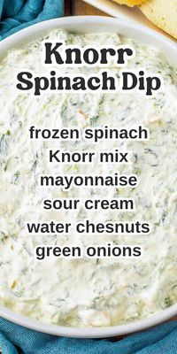 The classic Knorr Spinach Dip recipe! This cool and creamy spinach dip recipe is quick and easy to make with a packet of Knorr vegetable mix, frozen spinach, and a few other simple ingredients. Serve with pita chips, crackers, bread pieces, or fresh veggies for a perfect party dip for any occasion.