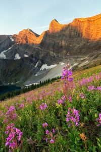 14 Day Hikes with Jaw-Dropping Views in Canmore and Kananaskis Country - In A Faraway Land