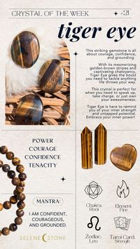 Learn more about Tiger Eye! Unleash your inner ferocity and fortify your strength with Tiger Eye. She helps summon the courage to put your words into action. Her flashy stripes boost your confidence, release fear and anxiety, and ignite your inner power.