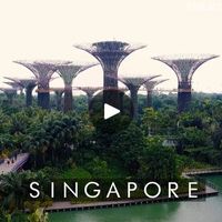 Why You Need To Visit Singapore | Here's why Singapore should be on your bucket list ✈️🌏 | By UNILAD AdventureFacebook