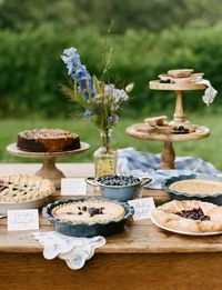 A dessert buffet for an outdoor garden party. Loving all those pies!