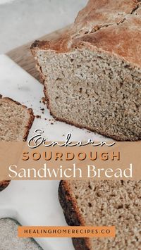 Learn how to bake the perfect Einkorn Sourdough Sandwich Bread—soft, flavorful, and packed with nutrients! 🌾 This wholesome bread recipe combines the unique benefits of einkorn flour with the tangy taste of sourdough, making it ideal for sandwiches or toast. Easy to follow and perfect for beginners looking to bake a healthy, homemade loaf. 🥖✨ #SourdoughBread #EinkornFlour #HomemadeBread #HealthyBaking #HealingHomeRecipes