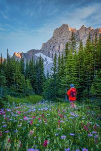 Guide For Planning A Trip To Banff & The Canadian Rockies - The Banff Blog