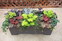 Terra Nova Nurseries® Container