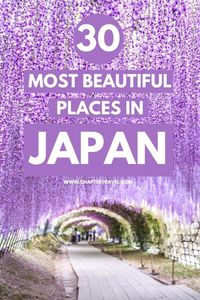 In this post you can find the most beautiful places in Japan. From wisteria tunnels to incredible pagoda's and from big Japanese cities to small, cute towns. Check out these beautiful spots in Japan! #Wanderlust #Japan