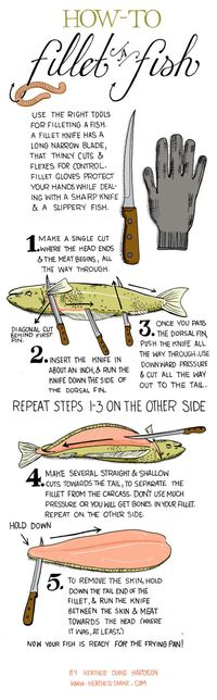 How to Filet a Fish