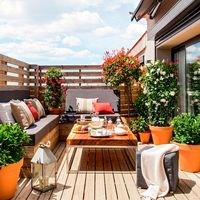 Terraza pequeña en madera con bancos con base de madera y cojines de asiento y respaldo grises, mesa de centro, farolillo, puf con plaid y plantas