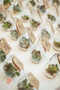 The Ultimate Succulent Wedding Guide - Favors