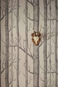 Woods by Cole & Son - Linen and Charcoal - Wallpaper : Wallpaper Direct