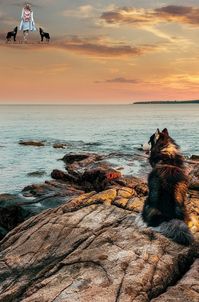 11 Fun Things To Do In Bar Harbor, Maine - The Well Worn Shoes