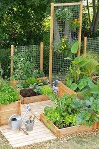 22 Ways for Growing a Successful Vegetable Garden