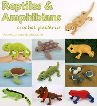 Bearded Dragon crochet pattern – PlanetJune by June Gilbank: Blog