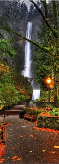 Multnomah Falls, Oregon--One of my favorite memories is traveling with the women in my family: my mother, my aunt, and my grandmother. One of our trips was to Seattle and we stopped here on the way home.