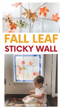 Easy Fall activity for toddlers and preschoolers! This contact paper sticky wall activity incorporates fine motor skills and makes the prettiest colorful fall tree! Use clear contact paper to makes a fall leaf suncatcher, or white contact paper for an easy sticky wall activity. Your toddler will love this cute Autumn activity - great indoor activity for a rainy day!