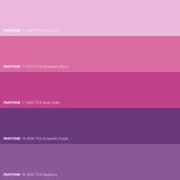 Lilac Rose Pantone Color Scheme · Delve into the captivating beauty of the Rose Lilac palette, a springtime symphony awakened by nature's kiss. · Creative Color Shades · #ColorPalette #Color #Spring #Lilac #Pink #Purple #Violet #Pantone #FHICottonTCX #FHIPolyesterTSX #PANTONE17-2619TCXStrawberryMoon #PANTONE17-2624TCXRoseViolet #PANTONE18-3533TCXDewberry #PANTONE19-3536TCXAmaranthPurple #PANTONE13-2820TSXPartyPink · #ColorPalette #ColorTrend #ColorBook · @pantonecolor · Kid’s Pattern