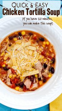 Quick and Easy Chicken Tortilla Soup Recipe- If you have 20 minutes, you can make this soup! (I absolutely love this soup recipe, you have got to try it! )