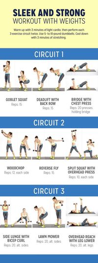 Whether it’s six-pack abs, gain muscle or weight loss, these workout plan is great for beginners men and women. No gym or equipment needed! #weightloss #loseweight #absworkout #workout plan #weightlossworkout #workout #quickworkouts #burnfat