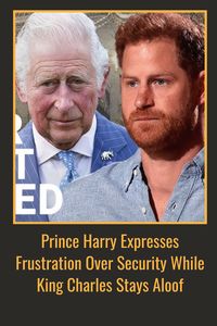 What is the central issue behind Prince Harry’s complaint about security in this context?