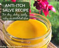 How to Make an Herbal Anti-Itch Salve or Balm (Great for Bug Bites; Dry Itchy Skin; Allergic Reactions; & More) — All Posts Healing Harvest Homestead